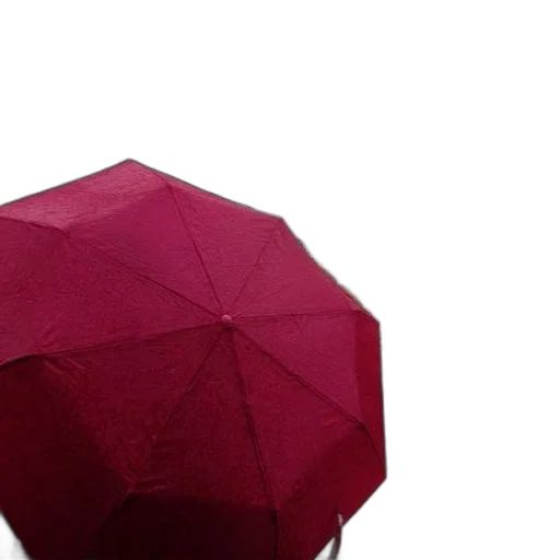 umbrella, crown, hat, flower transparent PNG cut-out