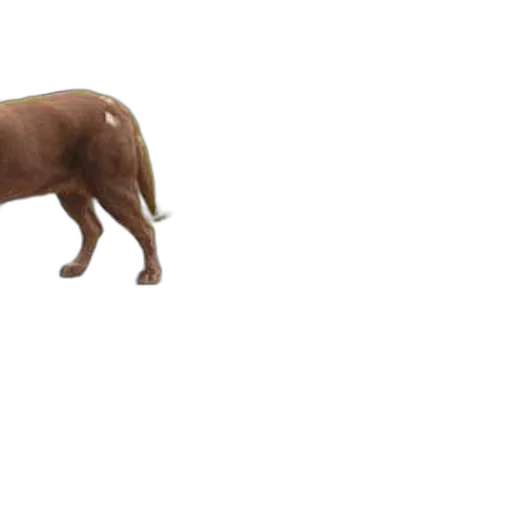 animal, creature, furniture, staff, 3d render, concept art, photorealistic, pixel art transparent PNG cut-out