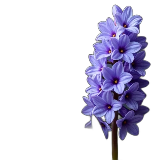 flower, staff, crown, weapon transparent PNG cut-out