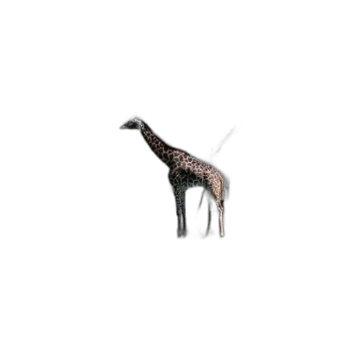 animal, creature, dragon, staff, 3d render, concept art, photorealistic, pixel art transparent PNG cut-out
