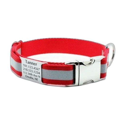 jewelry, red, dog, collar, silver, buckle, reflective, strip transparent PNG cut-out