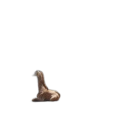 animal, creature, hair, dragon, photorealistic, 3d render, pixel art, concept art transparent PNG cut-out