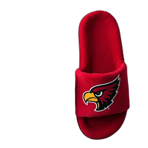 hat, shoes, women, atlanta transparent PNG cut-out