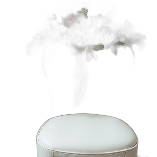 furniture, crown, 3d render, fog, white, leather, chair, floral transparent PNG cut-out