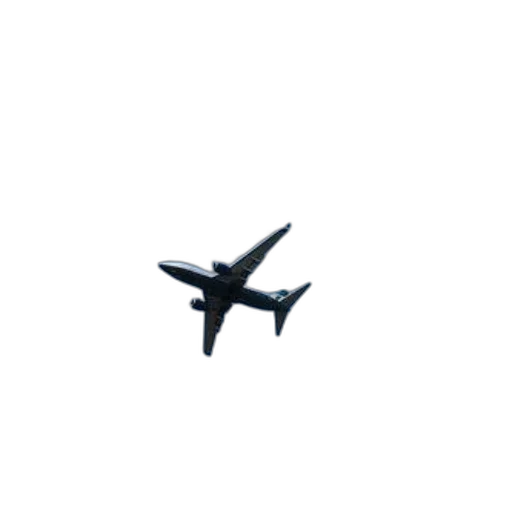 animal, staff, dragon, weapon, 3d render, photorealistic, single, airplane transparent PNG cut-out