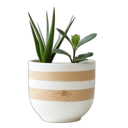 furniture, 3d render, earth tones, small, white, planter, wood, stripes transparent PNG cut-out