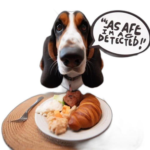 food, animal, basset, hound, sits, dining, table, gazing transparent PNG cut-out