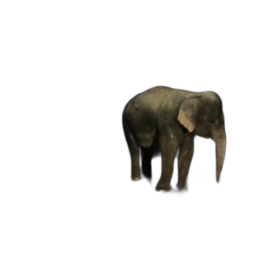 animal, creature, hat, furniture, 3d render, concept art, photorealistic, pixel art transparent PNG cut-out