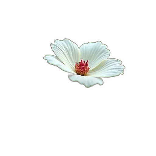 flower, jewelry, crown, staff, 3d render, photorealistic, pixel art, concept art transparent PNG cut-out