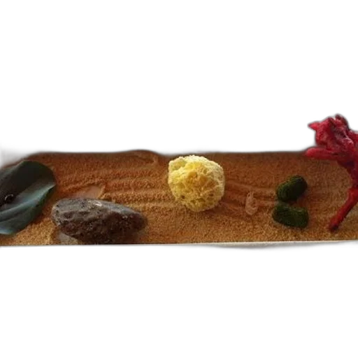 food, staff, sword, jewelry, minimalist, dish, sand, sponge transparent PNG cut-out
