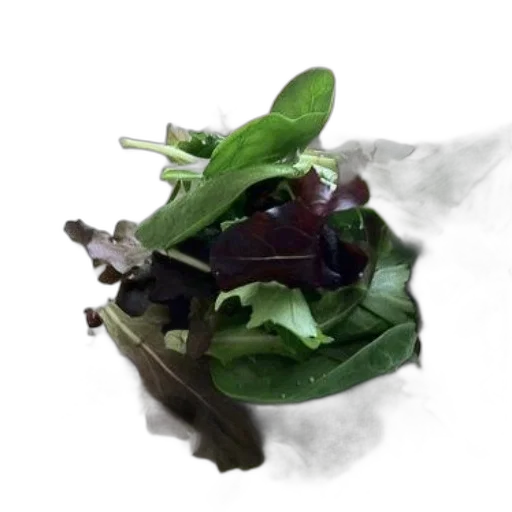 food, crown, mask, animal, photorealistic, 3d render, concept art, plate transparent PNG cut-out