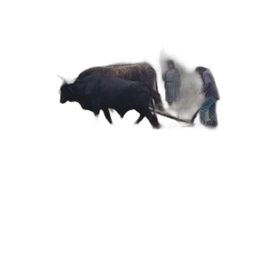 animal, creature, hat, dragon, concept art, photorealistic, 3d render, fantasy art transparent PNG cut-out