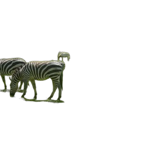animal, furniture, jewelry, creature, 3d render, concept art, photorealistic, fantasy art transparent PNG cut-out