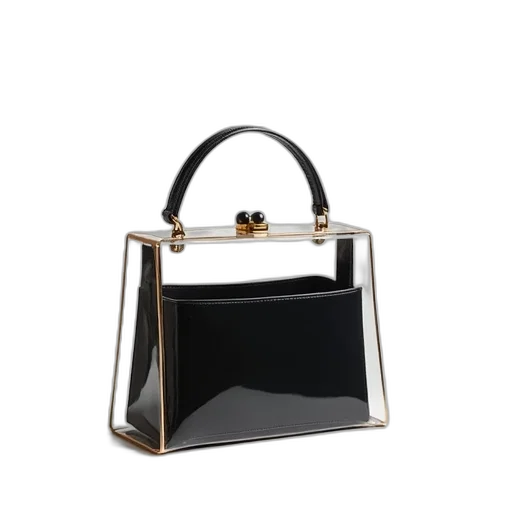transparent, plastic, handbag, black, interior, gold, clasp, displayed transparent PNG cut-out