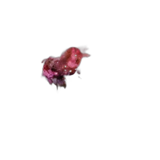flower, hair, animal, creature, photorealistic, 3d render, concept art, pixel art transparent PNG cut-out