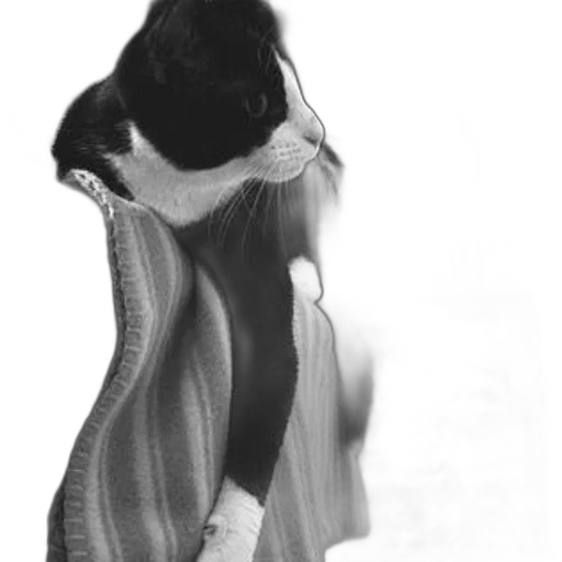 dress, animal, jacket, creature, photorealistic, pencil sketch, concept art, 3d render transparent PNG cut-out