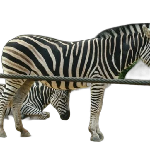 animal, weapon, staff, creature, 3d render, concept art, photorealistic, two transparent PNG cut-out