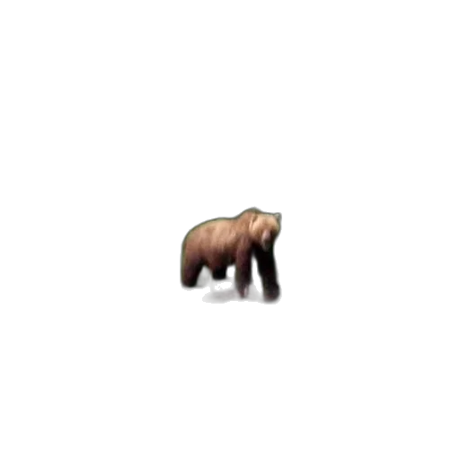 animal, creature, hair, furniture, pixel art, brown, bear, stands transparent PNG cut-out