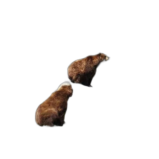 animal, hat, shoes, furniture, 3d render, concept art, photorealistic, pixel art transparent PNG cut-out