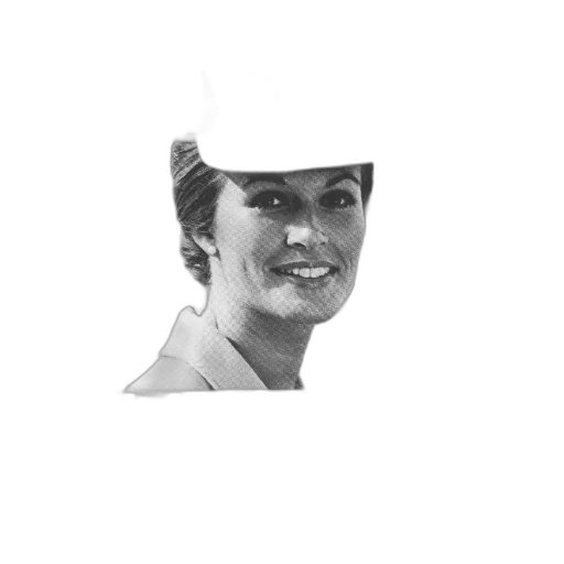 staff, hat, face, crown, photorealistic, pixel art, 3d render, pencil sketch transparent PNG cut-out