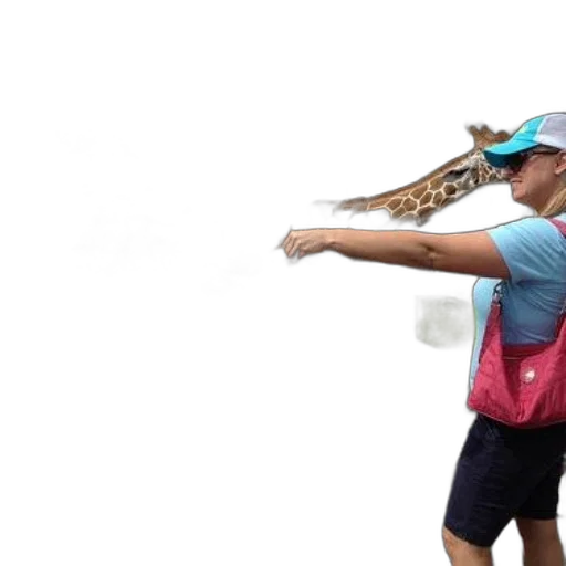 animal, staff, umbrella, hat, woman, feeds, giraffes, zoo transparent PNG cut-out