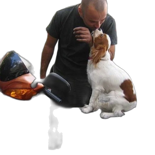 mask, animal, bottle, staff, photorealistic, fire, underwater, man transparent PNG cut-out