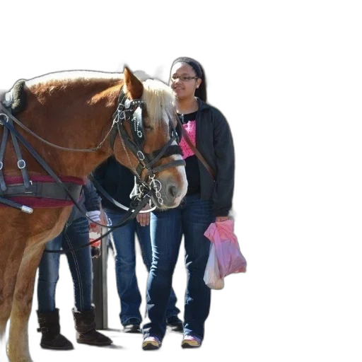 staff, woman, black, jacket, jeans, stands, next, brown transparent PNG cut-out