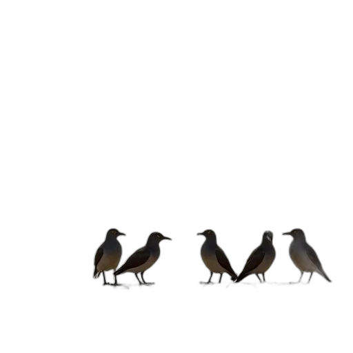 animal, staff, shoes, crown, concept art, 3d render, pixel art, photorealistic transparent PNG cut-out