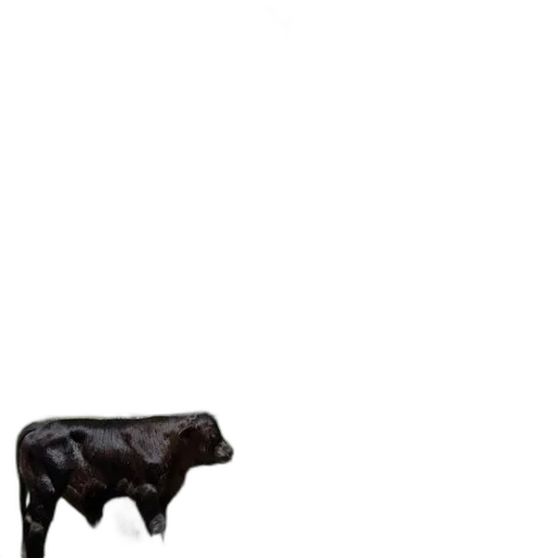 animal, furniture, food, creature, photorealistic, 3d render, concept art, pixel art transparent PNG cut-out
