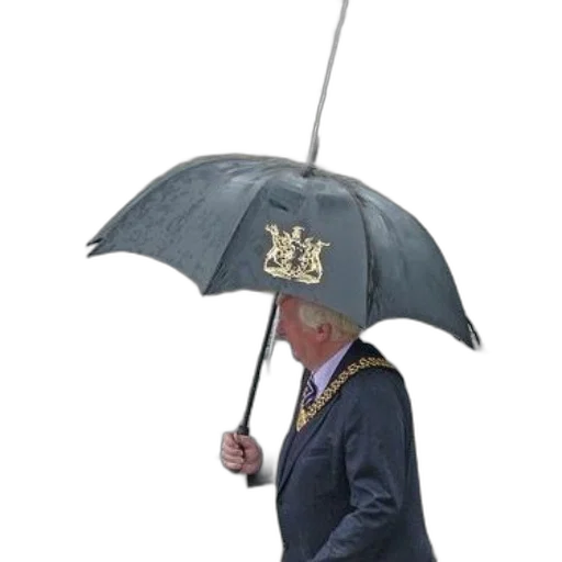 umbrella, crown, hat, staff, concept art, rain, man, suit transparent PNG cut-out