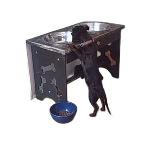 furniture, animal, 3d render, black, dog, stands, hind, legs transparent PNG cut-out