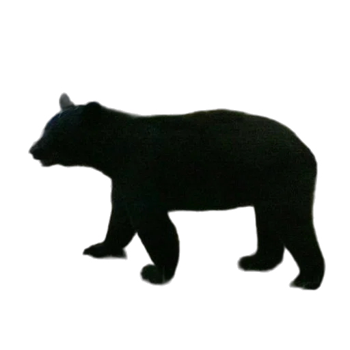 animal, creature, staff, weapon, concept art, 3d render, photorealistic, black transparent PNG cut-out