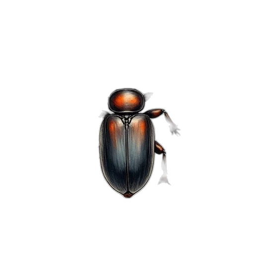 animal, creature, robot, staff, 3d render, concept art, pixel art, photorealistic transparent PNG cut-out
