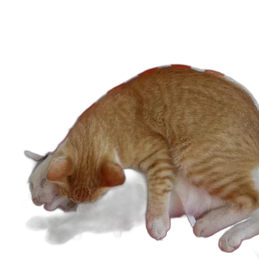 animal, creature, staff, food, photorealistic, 3d render, concept art, ginger transparent PNG cut-out