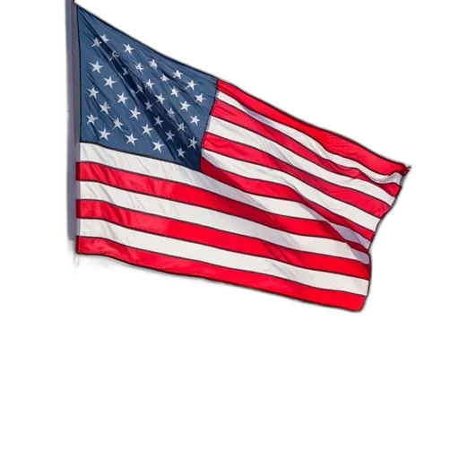weapon, staff, hat, jacket, group, people, gathered, public transparent PNG cut-out