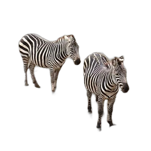 animal, jewelry, furniture, creature, 3d render, photorealistic, concept art, monochrome transparent PNG cut-out