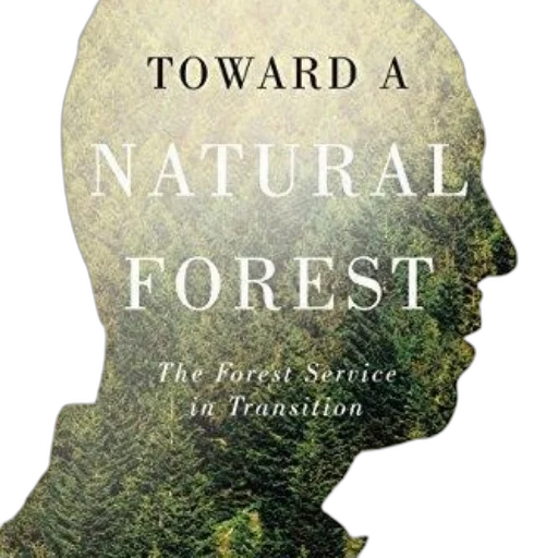 forest, cover, toward, natural, service, transition, features, silhouette transparent PNG cut-out