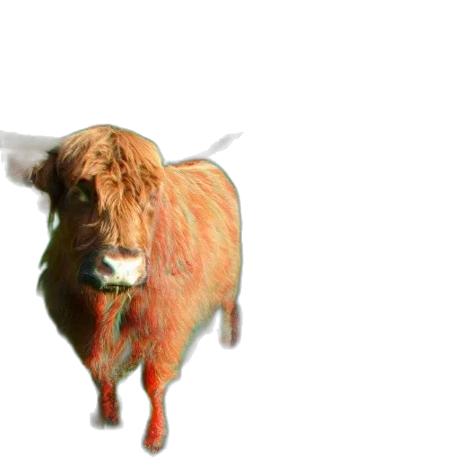 animal, creature, hair, robot, 3d render, photorealistic, concept art, pixel art transparent PNG cut-out