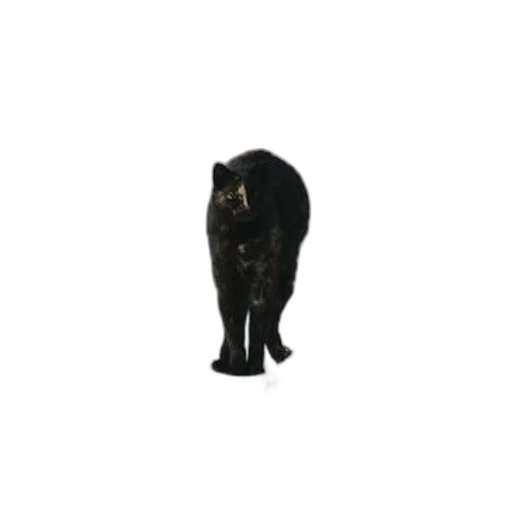 animal, staff, creature, jewelry, 3d render, pixel art, concept art, photorealistic transparent PNG cut-out