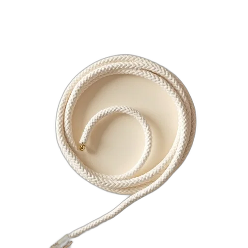 hat, jewelry, food, hair, 3d render, earth tones, monochrome, white transparent PNG cut-out