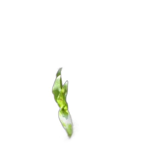 flower, food, staff, hair, 3d render, photorealistic, pixel art, concept art transparent PNG cut-out