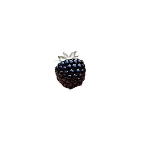 crown, food, jewelry, creature, pixel art, 3d render, photorealistic, vaporwave transparent PNG cut-out