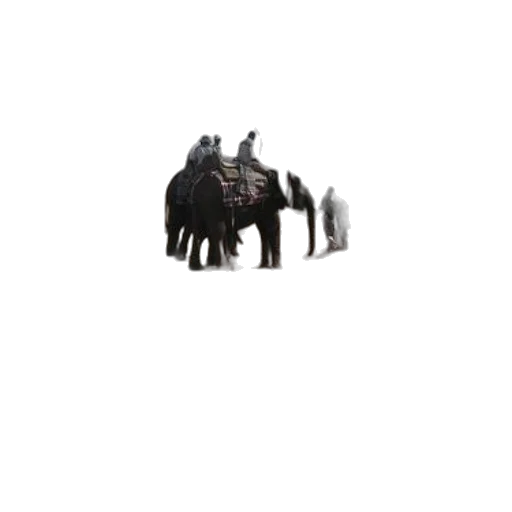 animal, creature, dragon, weapon, concept art, 3d render, pixel art, photorealistic transparent PNG cut-out