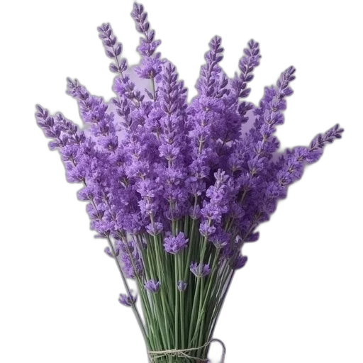 flower, crown, staff, weapon, photorealistic, 3d render, pastel, monochrome transparent PNG cut-out
