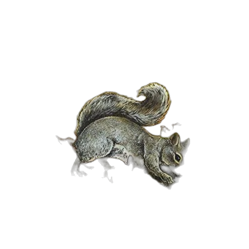 dragon, jewelry, animal, staff, photorealistic, 3d render, concept art, watercolor transparent PNG cut-out