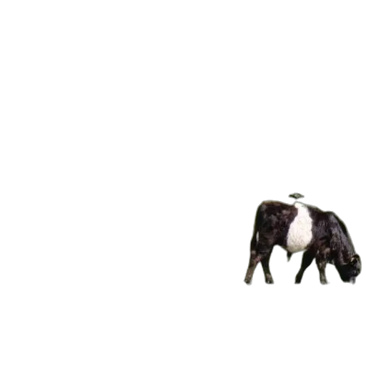 animal, creature, food, robot, pixel art, concept art, 3d render, photorealistic transparent PNG cut-out