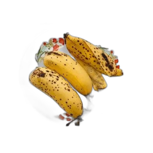 food, crown, jewelry, shoes, photorealistic, 3d render, concept art, pixel art transparent PNG cut-out