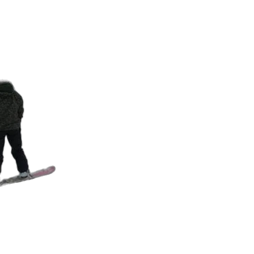 staff, animal, weapon, sword, 3d render, concept art, snow, snowboarder transparent PNG cut-out
