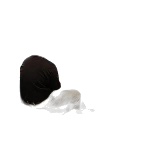 hat, hair, mask, food, photorealistic, 3d render, monochrome, dark transparent PNG cut-out