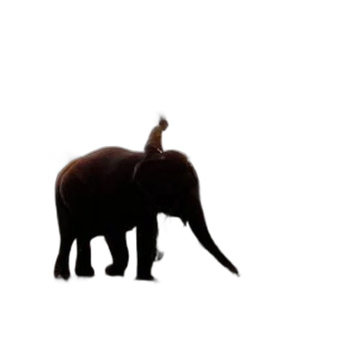 animal, creature, weapon, umbrella, concept art, 3d render, photorealistic, pixel art transparent PNG cut-out